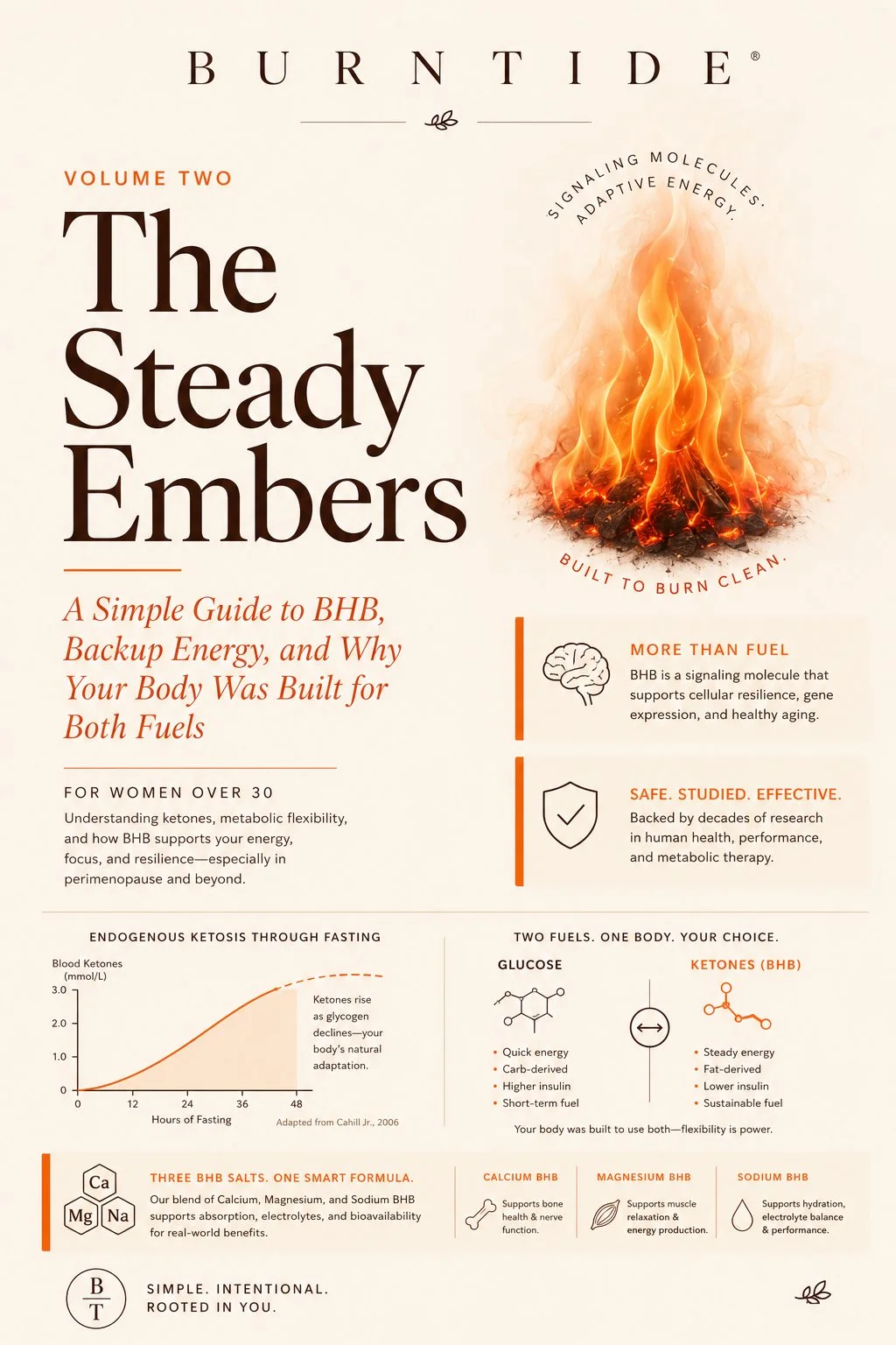 Burntide Bonus 2 — The Steady Embers pocket guide to sleep, stress, and metabolism habits